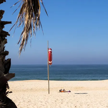 Vakantiehuis Ria Surf House Ovar